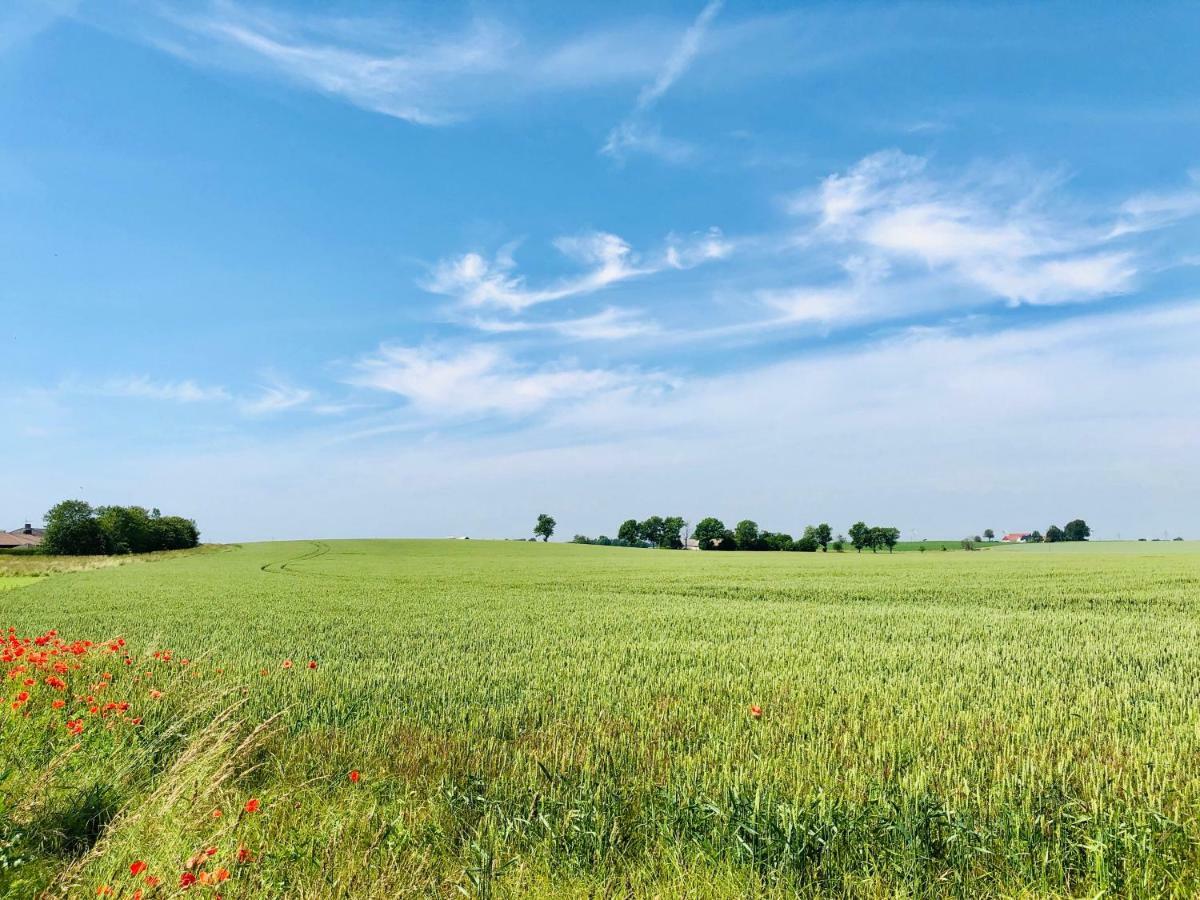 Oesterlengarden Hammenhög Esterno foto